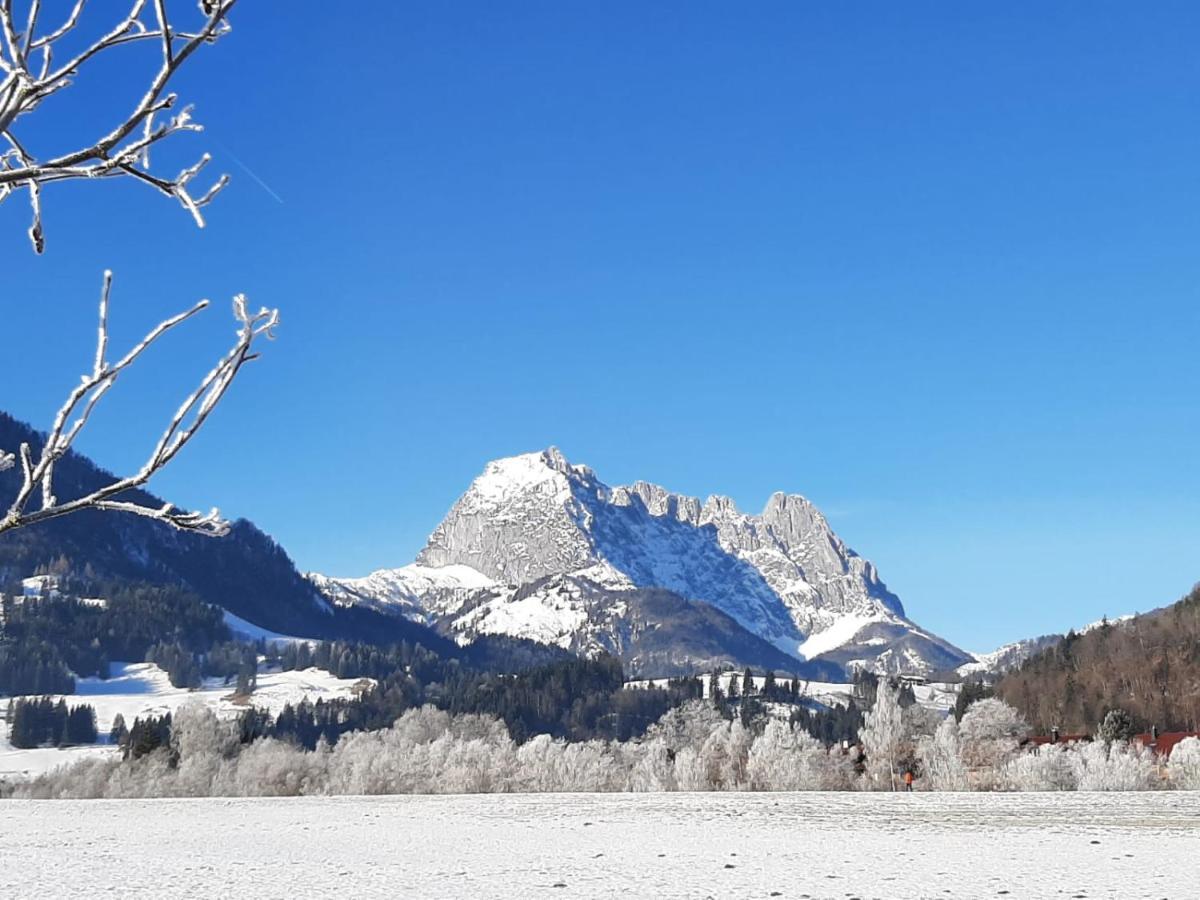 Tiroler Ferienwohnungen Haus Petra Kirchdorf in Tirol Ngoại thất bức ảnh