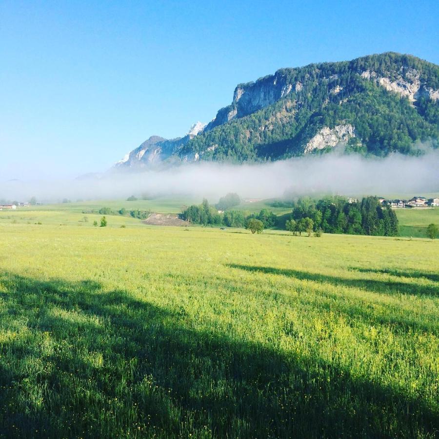 Tiroler Ferienwohnungen Haus Petra Kirchdorf in Tirol Ngoại thất bức ảnh